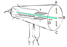 Description: Macintosh HD:Users:tohei:Documents:*G_Figures:4_Magnetism:I-123A_CrooksTube-Efield.tif