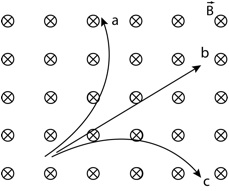 Description: Macintosh HD:Users:tohei:Documents:*G_Figures:4_Magnetism:II-234_Particle-MagField-3.tif
