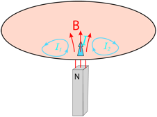 Description: Macintosh HD:Users:tohei:Documents:*G_Figures:4_Magnetism:II-240-3_Arago'sDisk-Principle-3.tif