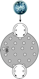 Description: Macintosh HD:Users:tohei:Documents:*G_Figures:4_Magnetism:I-001-14b_CoinStopper.tif